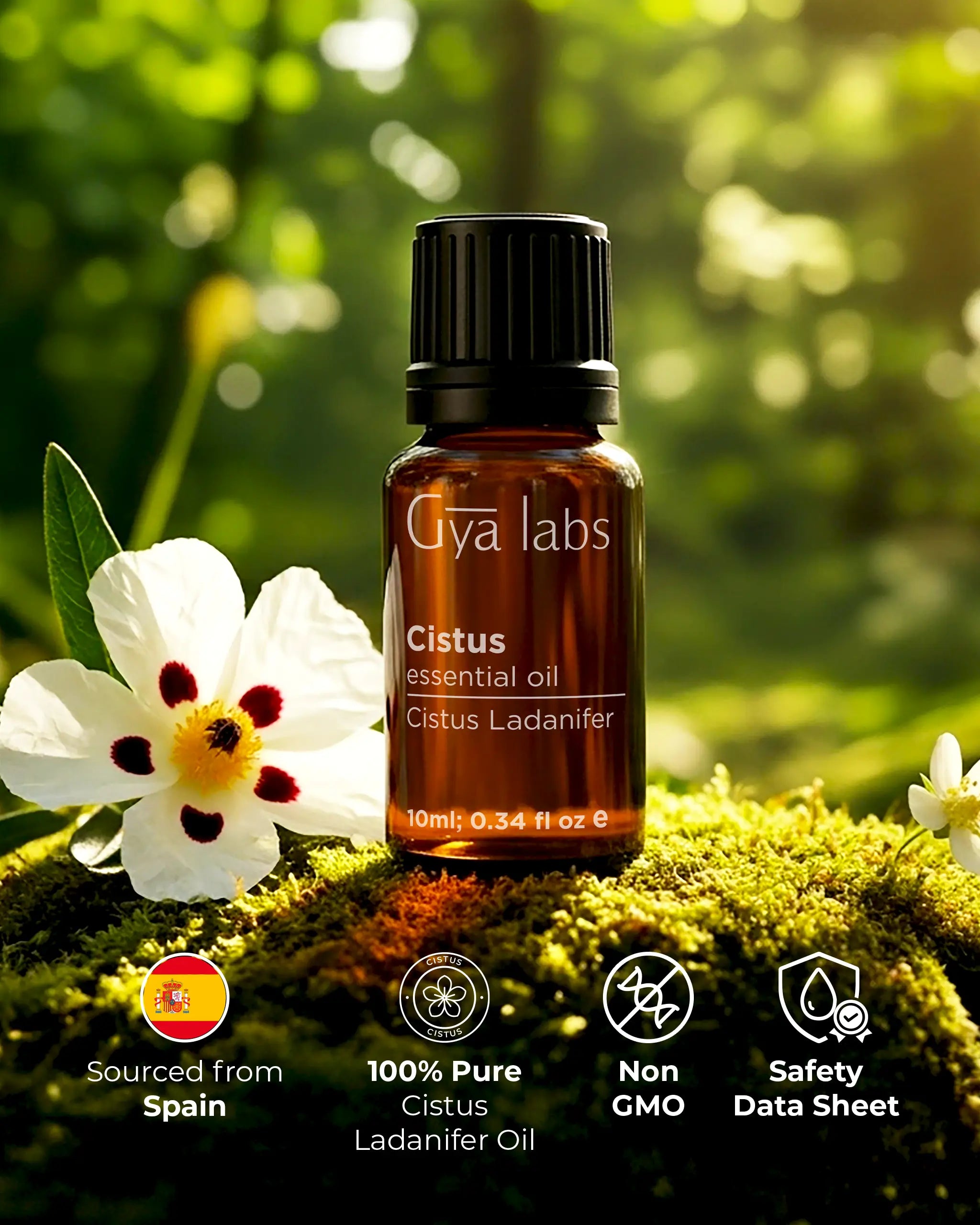Cistus Oil