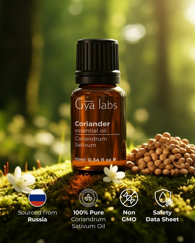 Coriander Oil