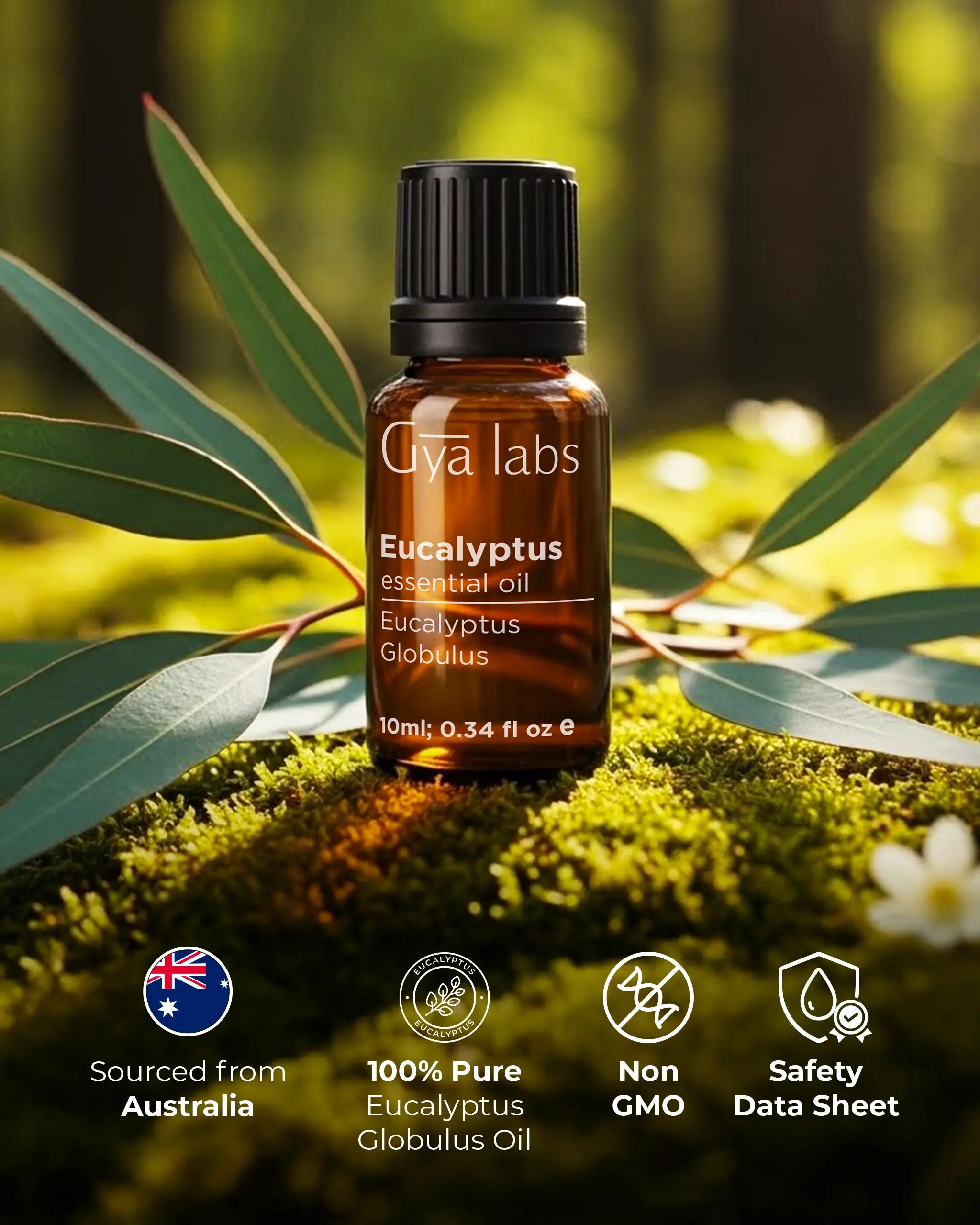 Eucalyptus Oil