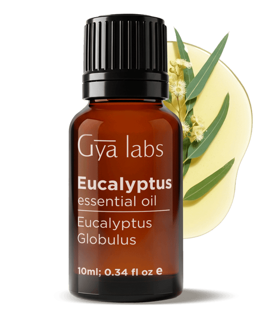 Eucalyptus Essential Oil 10ml