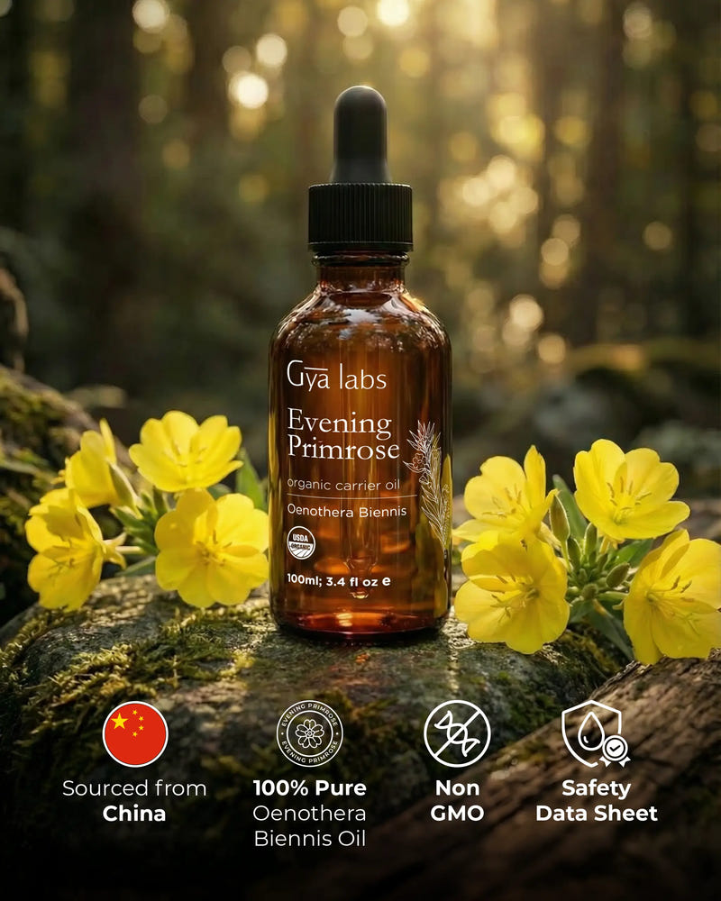 Evening Primrose Oil