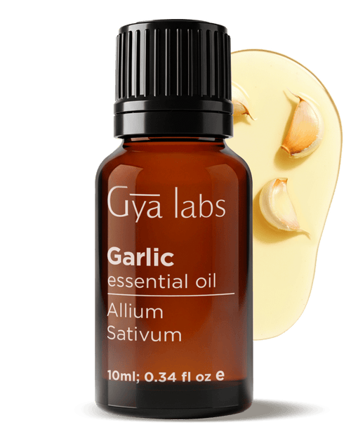 Garlic Oil | GyaLabs