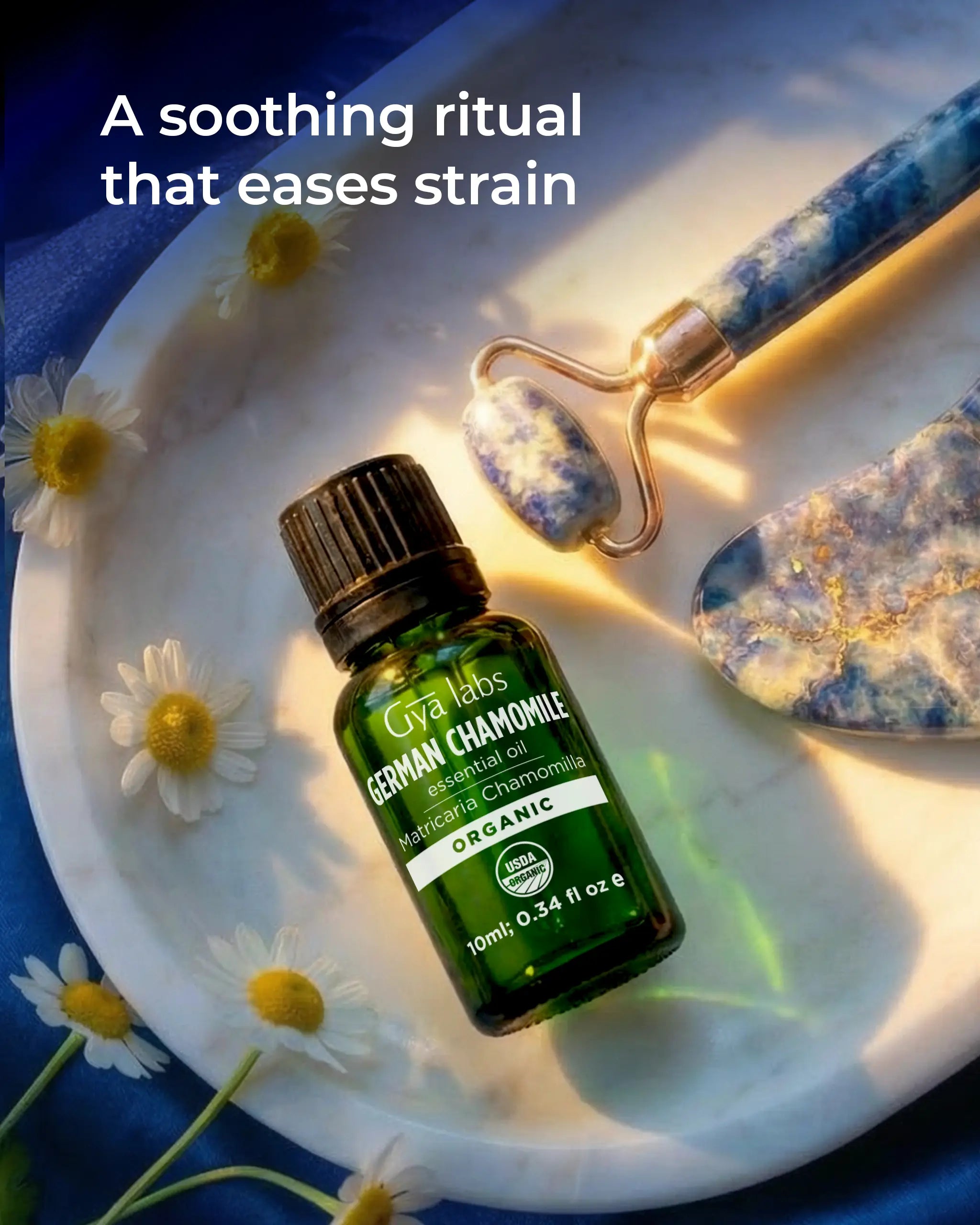 Organic German Chamomile Oil