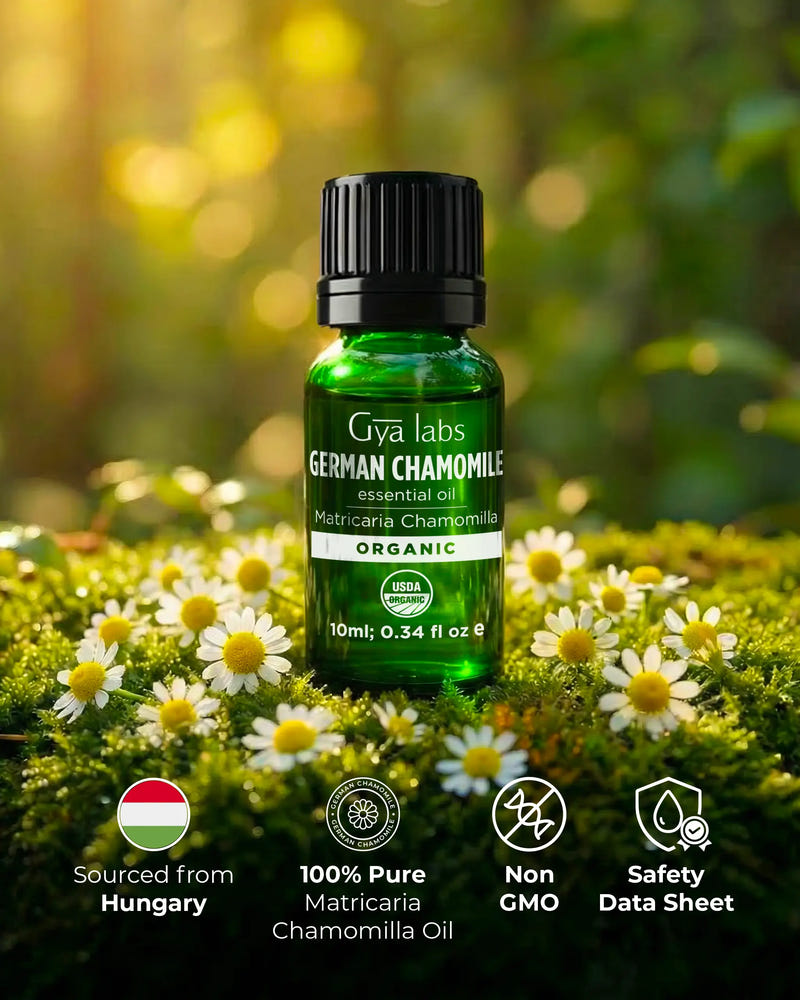 Organic German Chamomile Oil