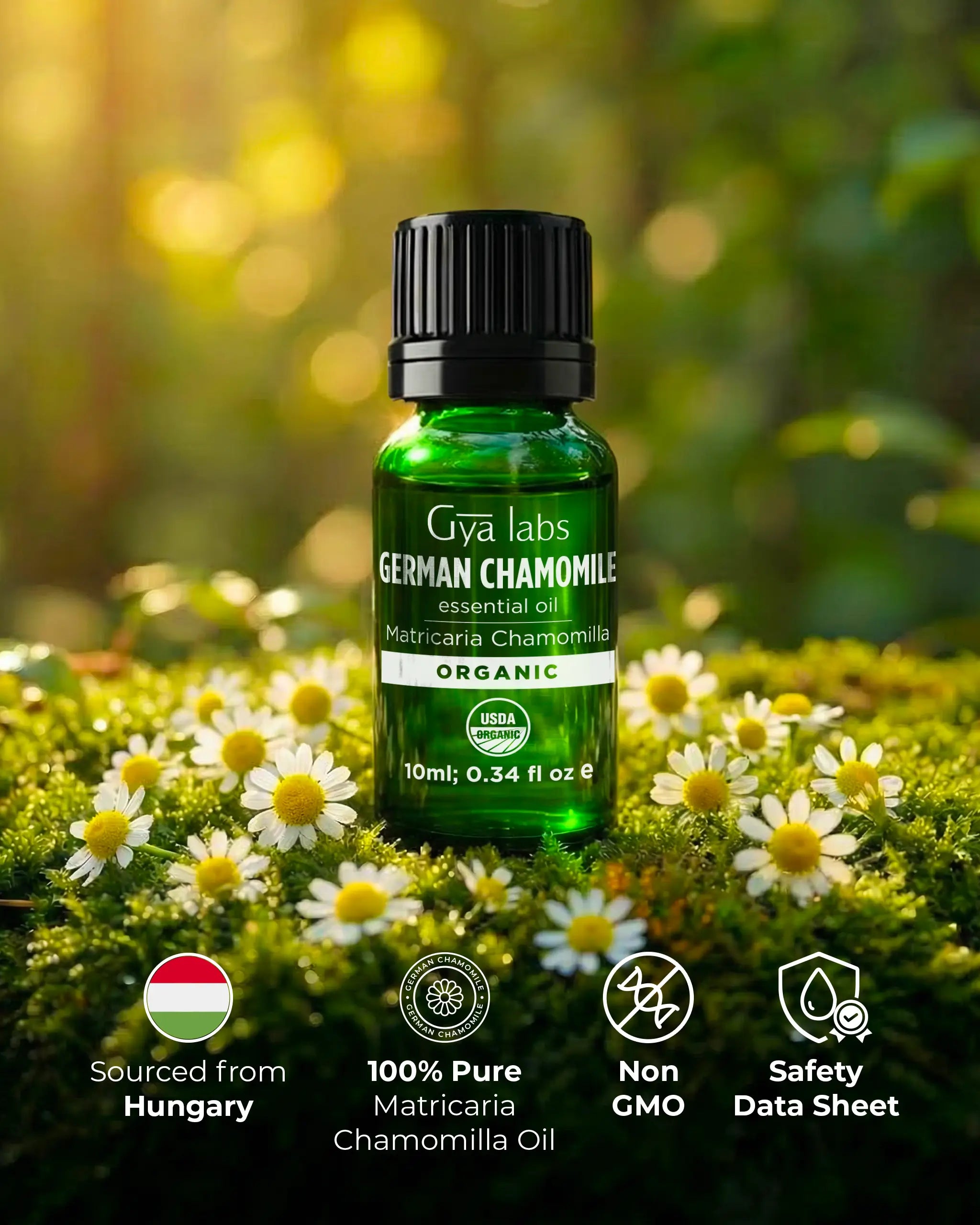 Organic German Chamomile Oil