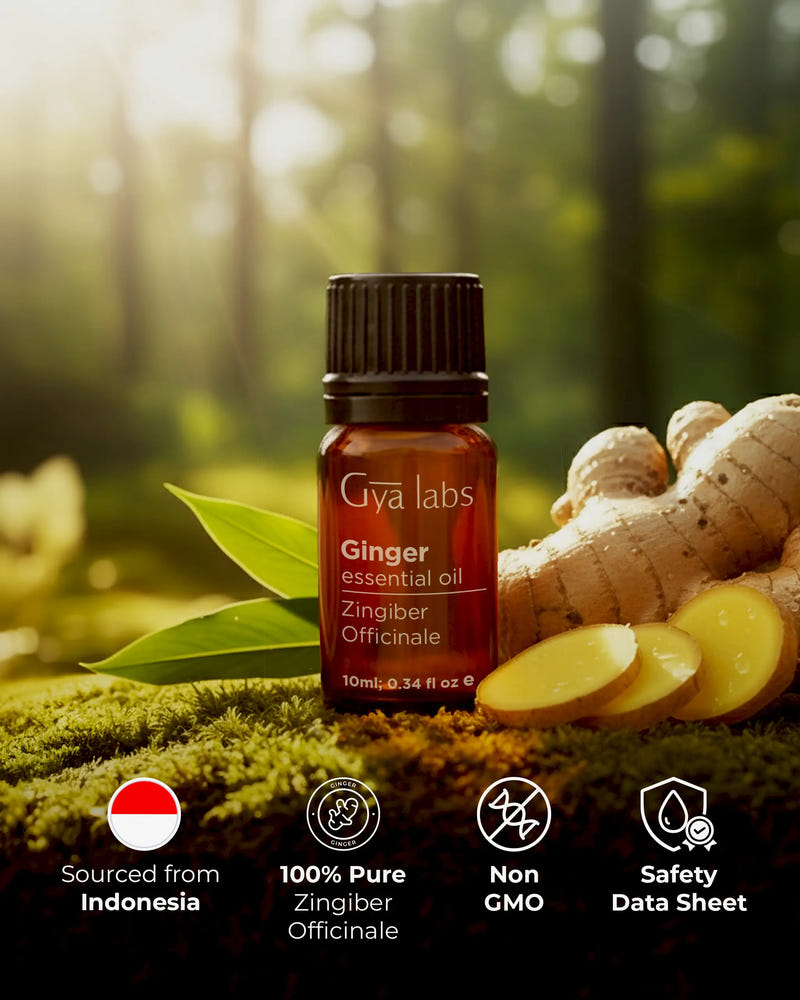 Ginger Essential Oil