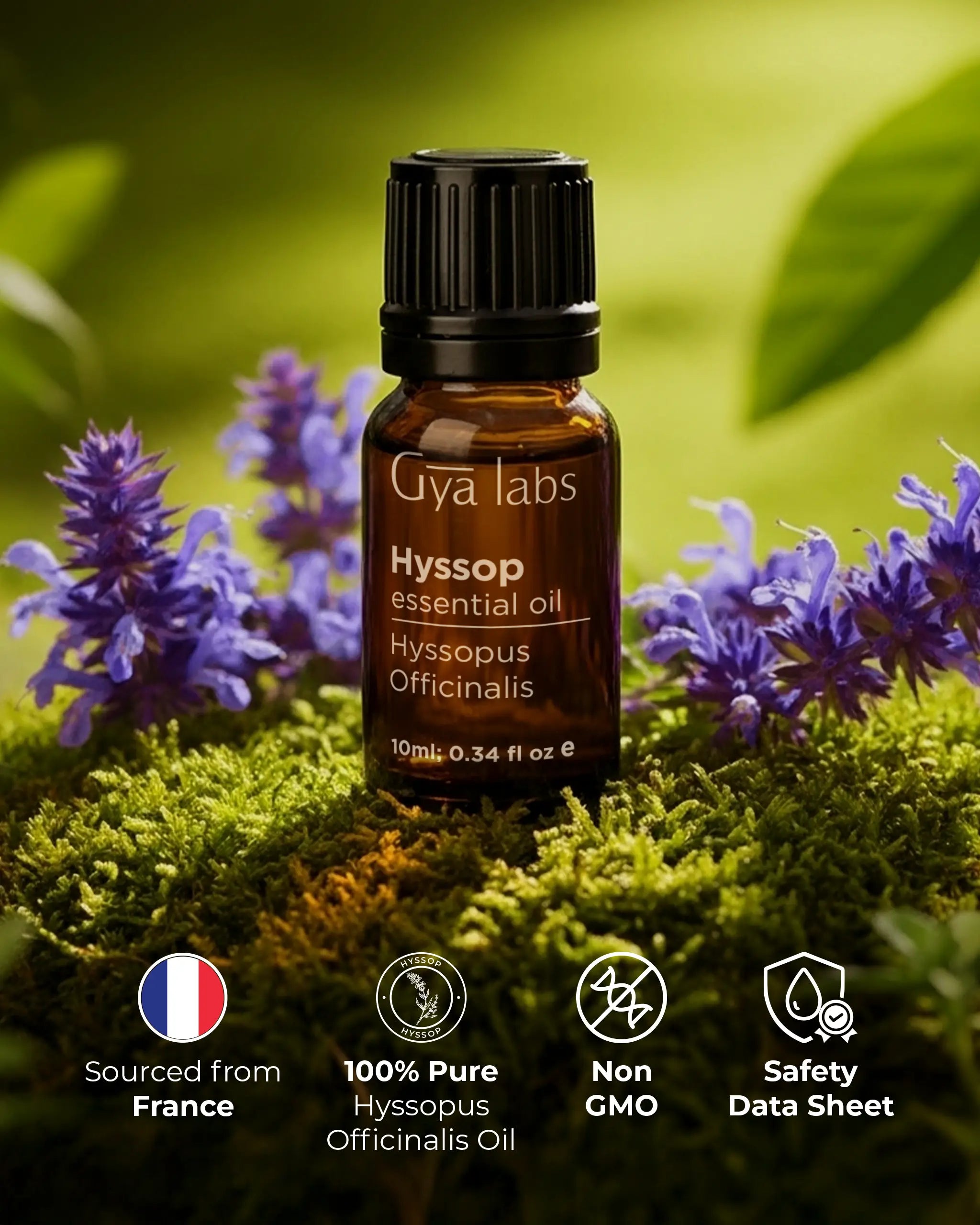 Hyssop Oil