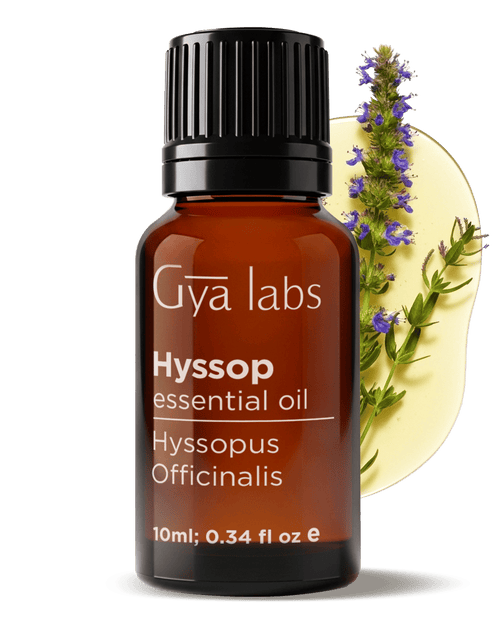 Hyssop Oil | GyaLabs