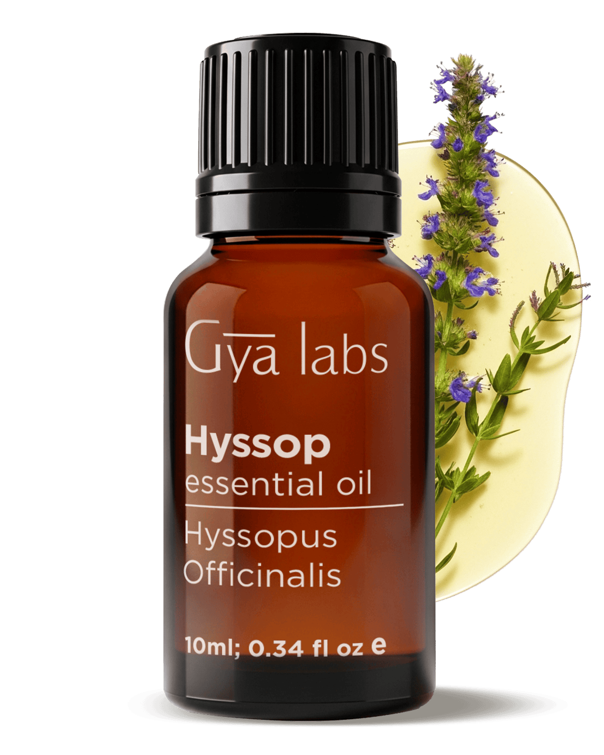 Hyssop Oil | GyaLabs