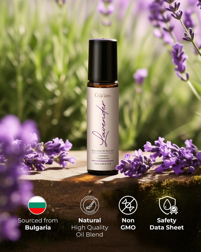 lavender essential oil with lavender flowers