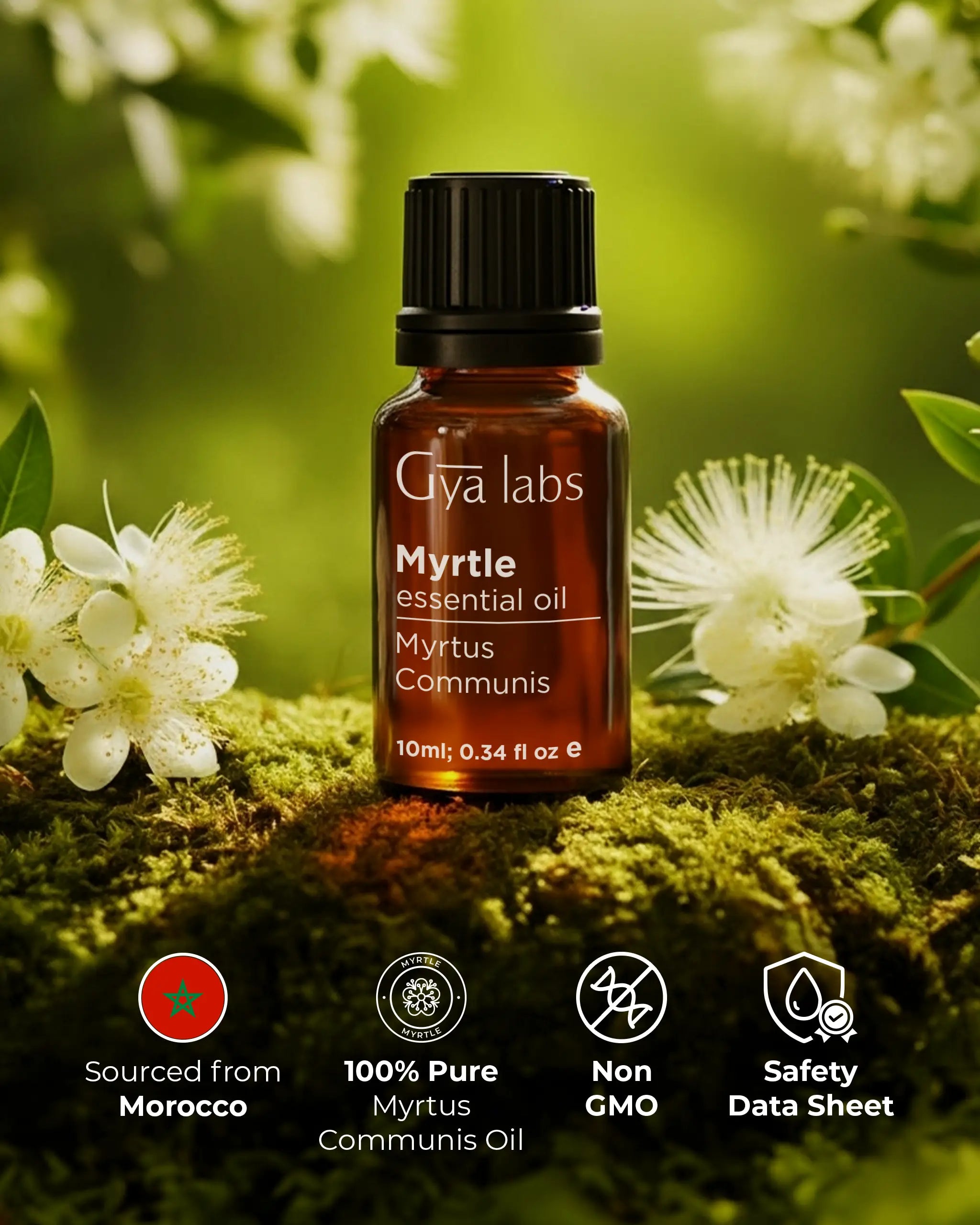 Myrtle Oil