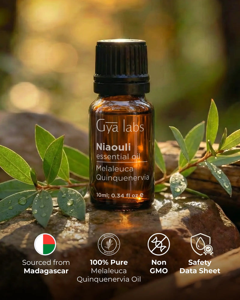 Gya Labs Niaouli essential oil