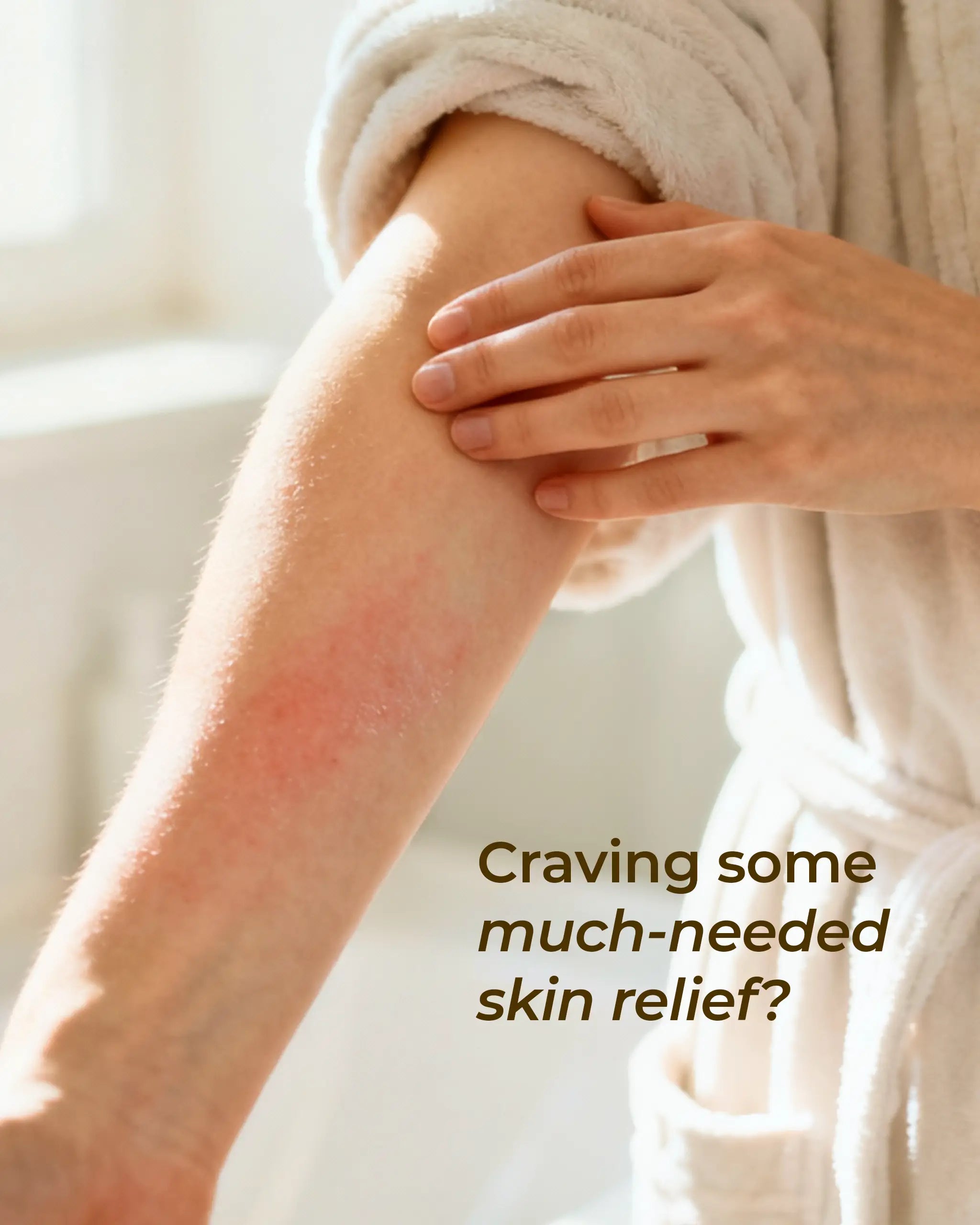 Organic Sunflower Seed Oil