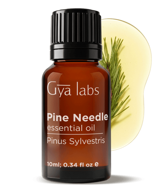 Pine Needle Essential Oil | GyaLabs