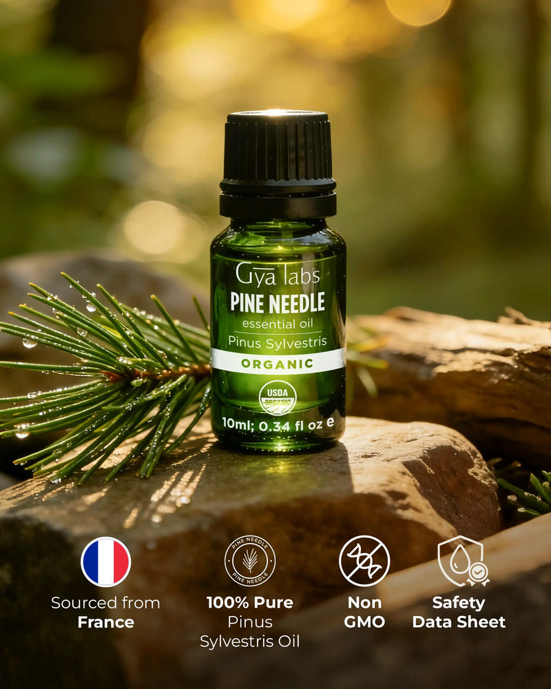 Organic Pine Needle Oil