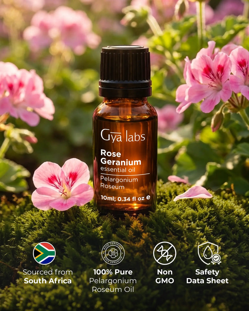 Rose Geranium Oil
