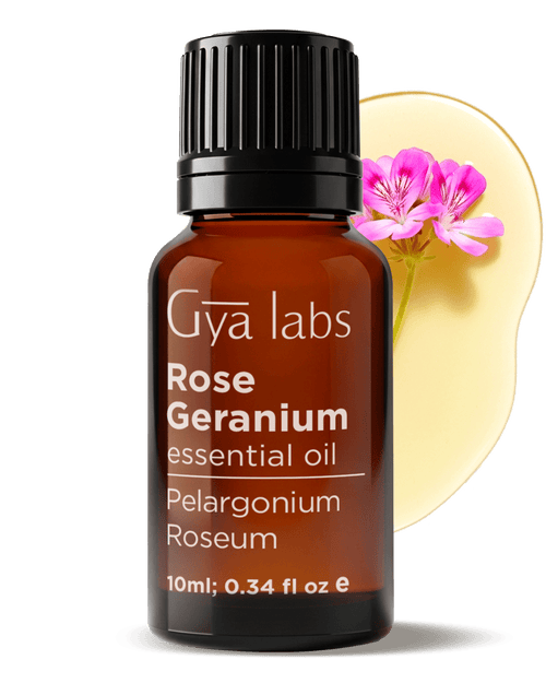 Rose Geranium Oil | GyaLabs