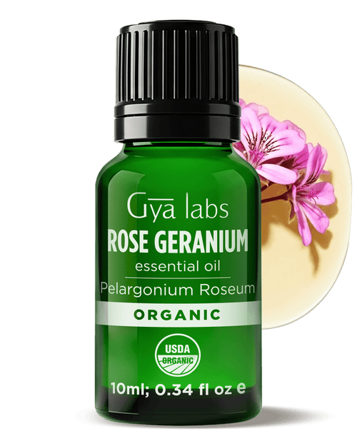Rose Geranium Essential Oil
