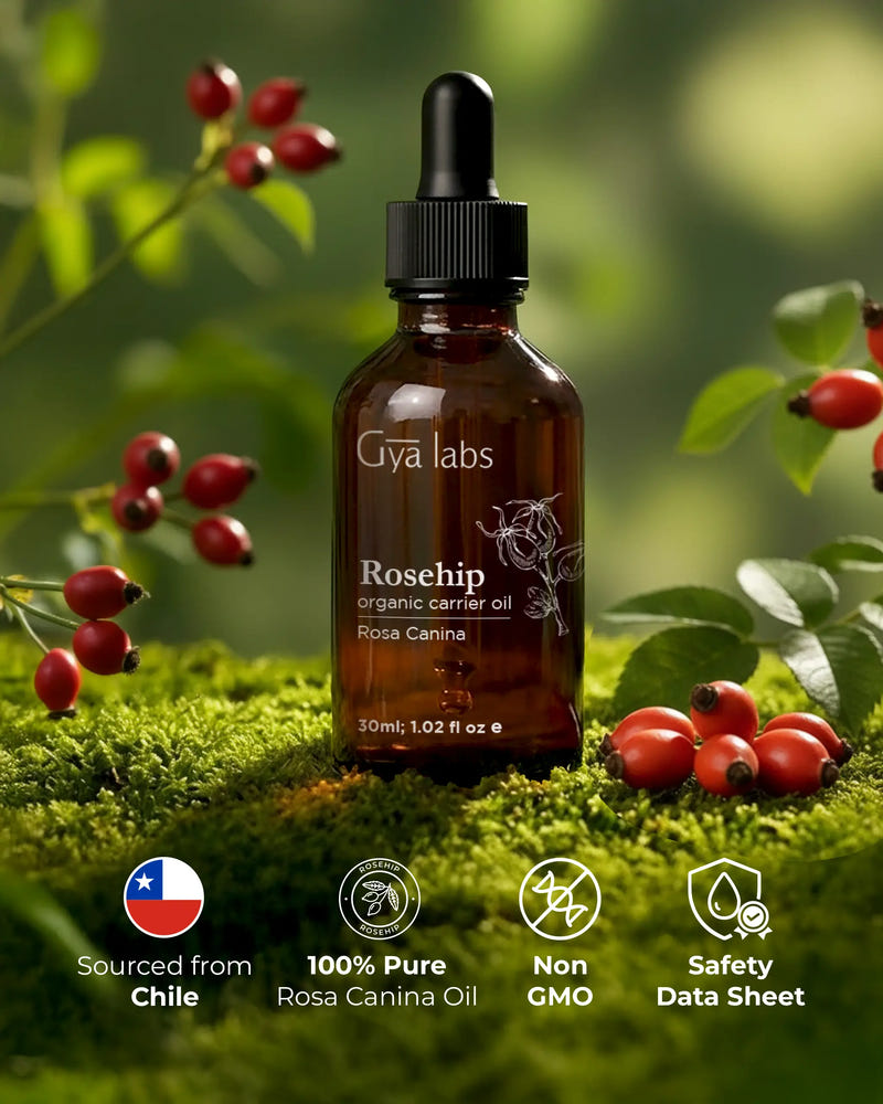 Rosehip Organic Carrier Oil