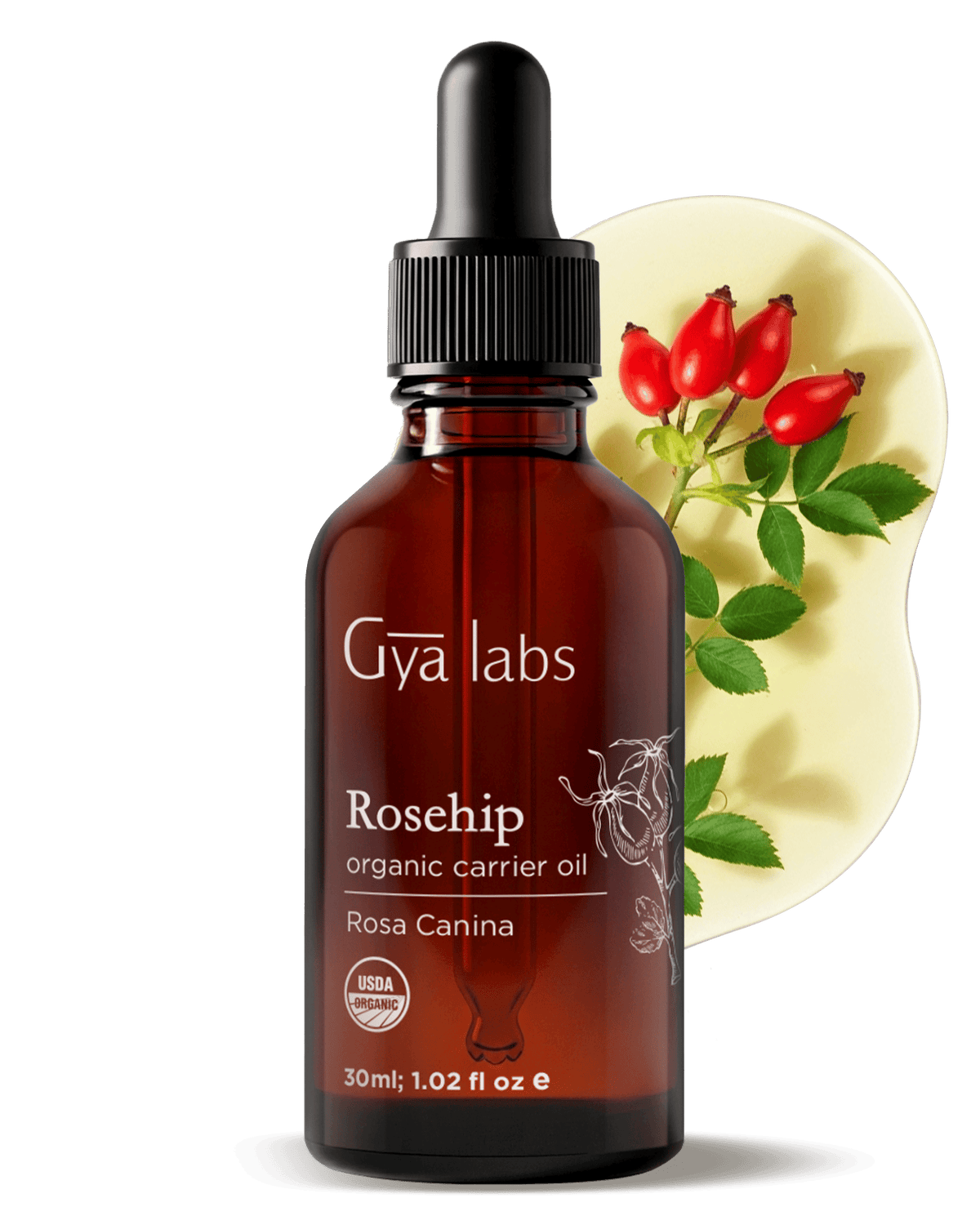 Rosehip Carrier Oil