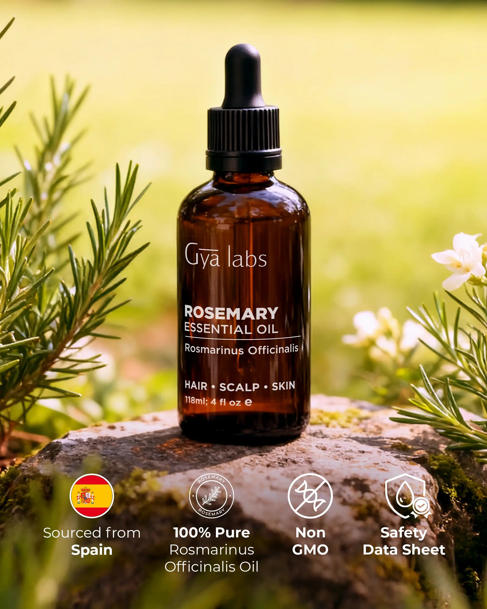 Rosemary Oil