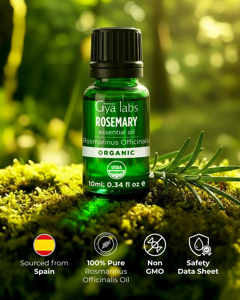 Organic Rosemary Oil 10ml