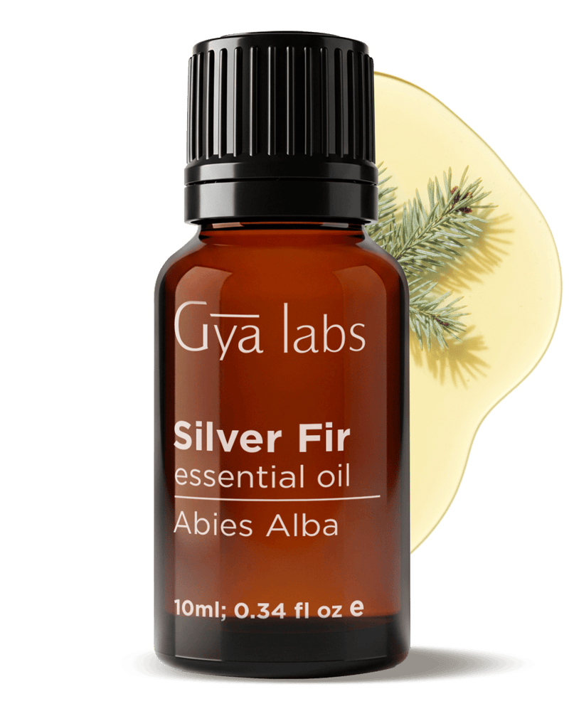 Silver Fir Oil | GyaLabs