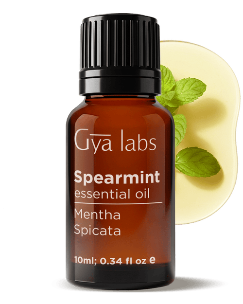 Spearmint Oil | GyaLabs