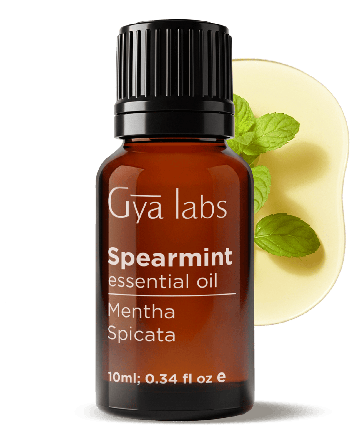 Spearmint Oil | GyaLabs