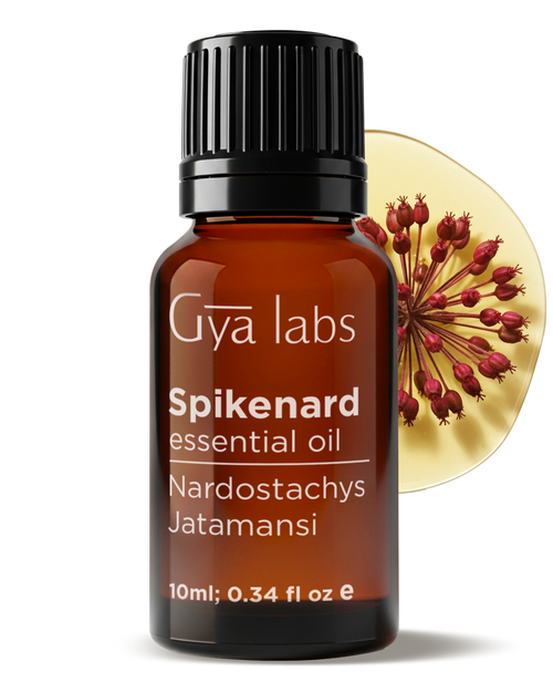 Spikenard Oil