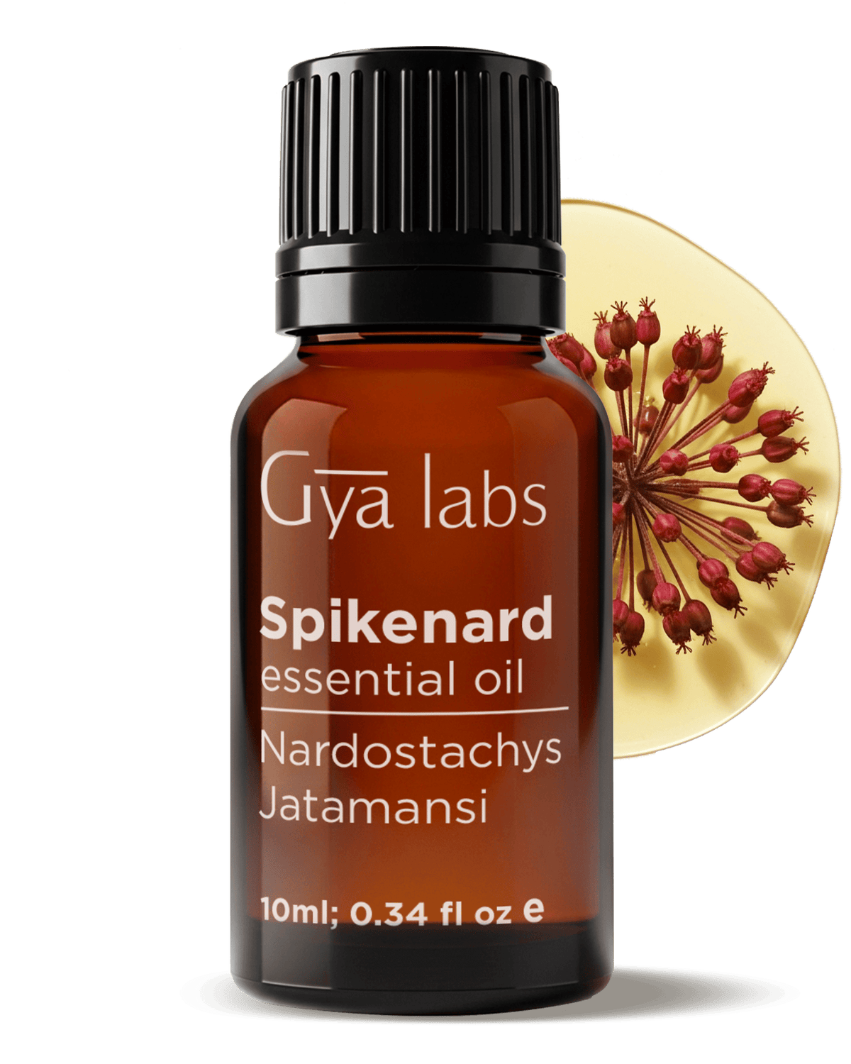 Spikenard Oil | GyaLabs