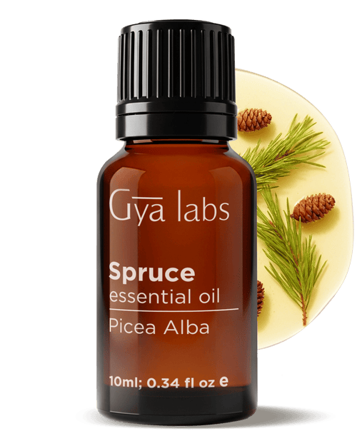 Spruce Oil | GyaLabs