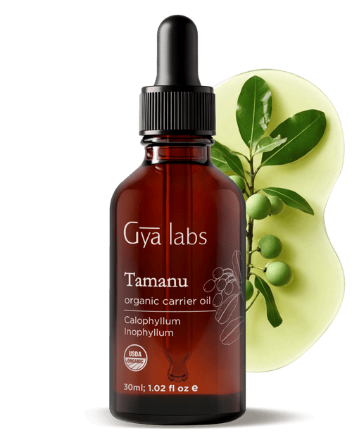 Tamanu Carrier Oil