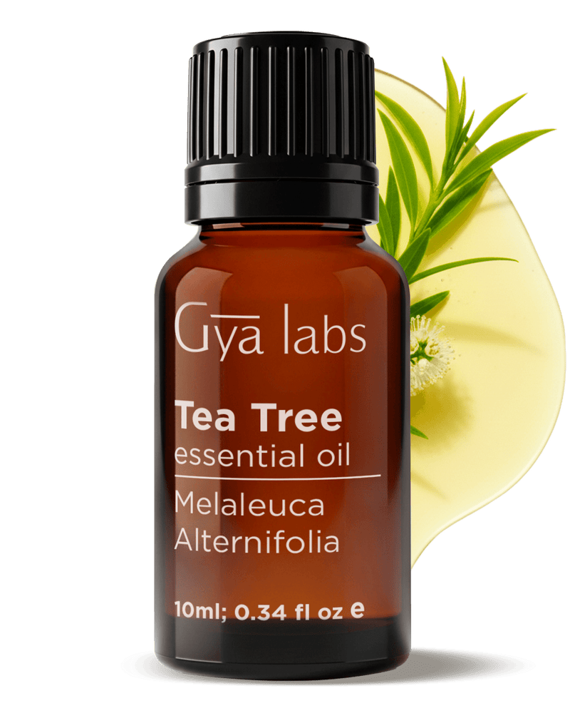 Tea Tree Essential Oil | GyaLabs