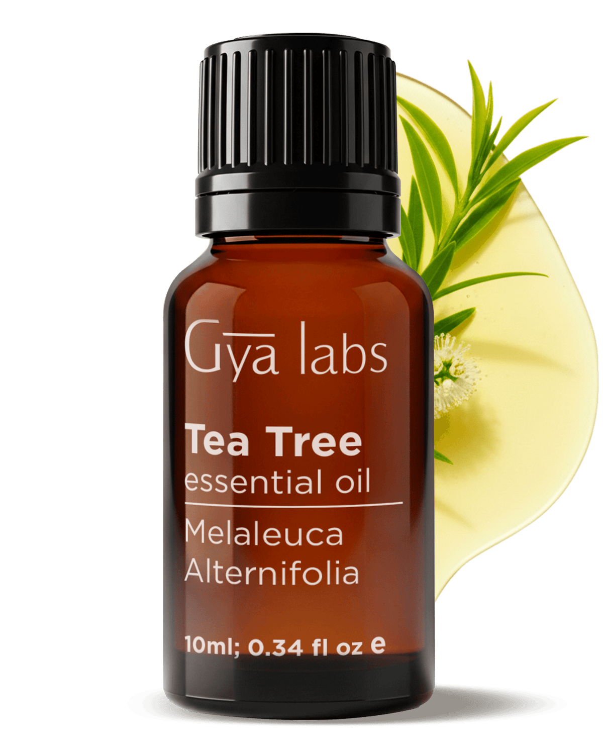 Tea Tree Essential Oil | GyaLabs
