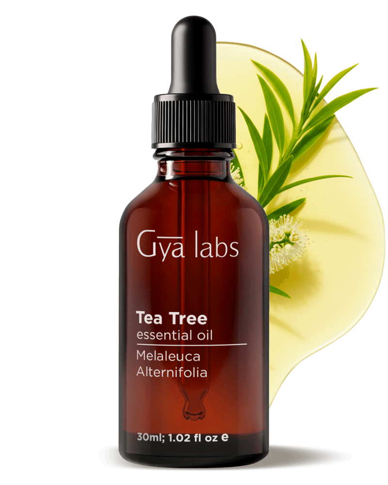 Tea Tree Essential Oil | GyaLabs