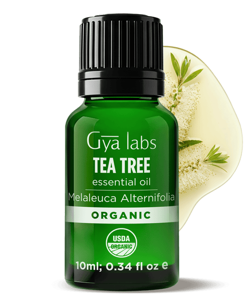 Organic Tea Tree Oil | GyaLabs