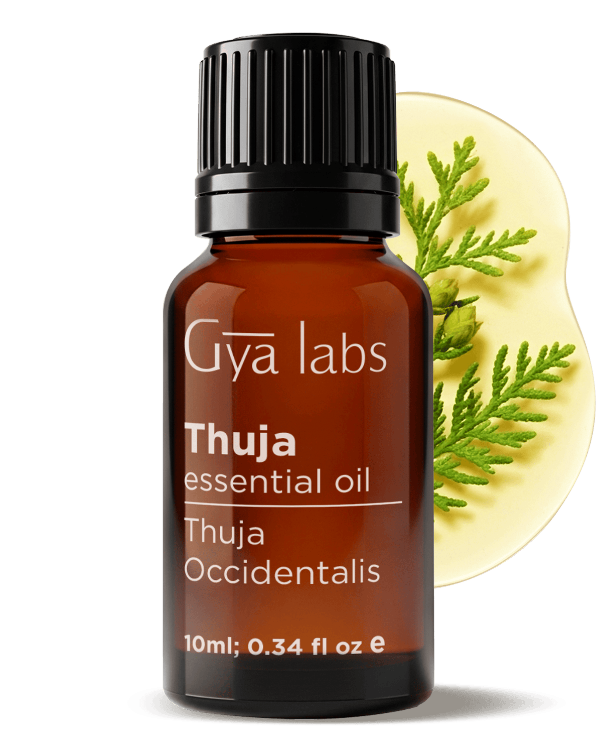 Thuja Oil | GyaLabs