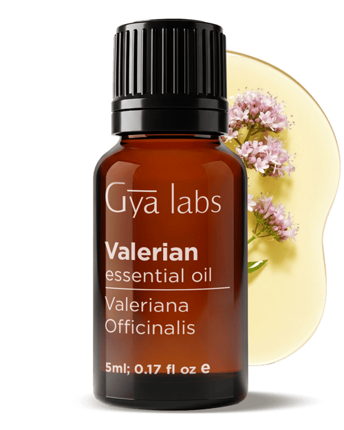 Valerian Oil | GyaLabs
