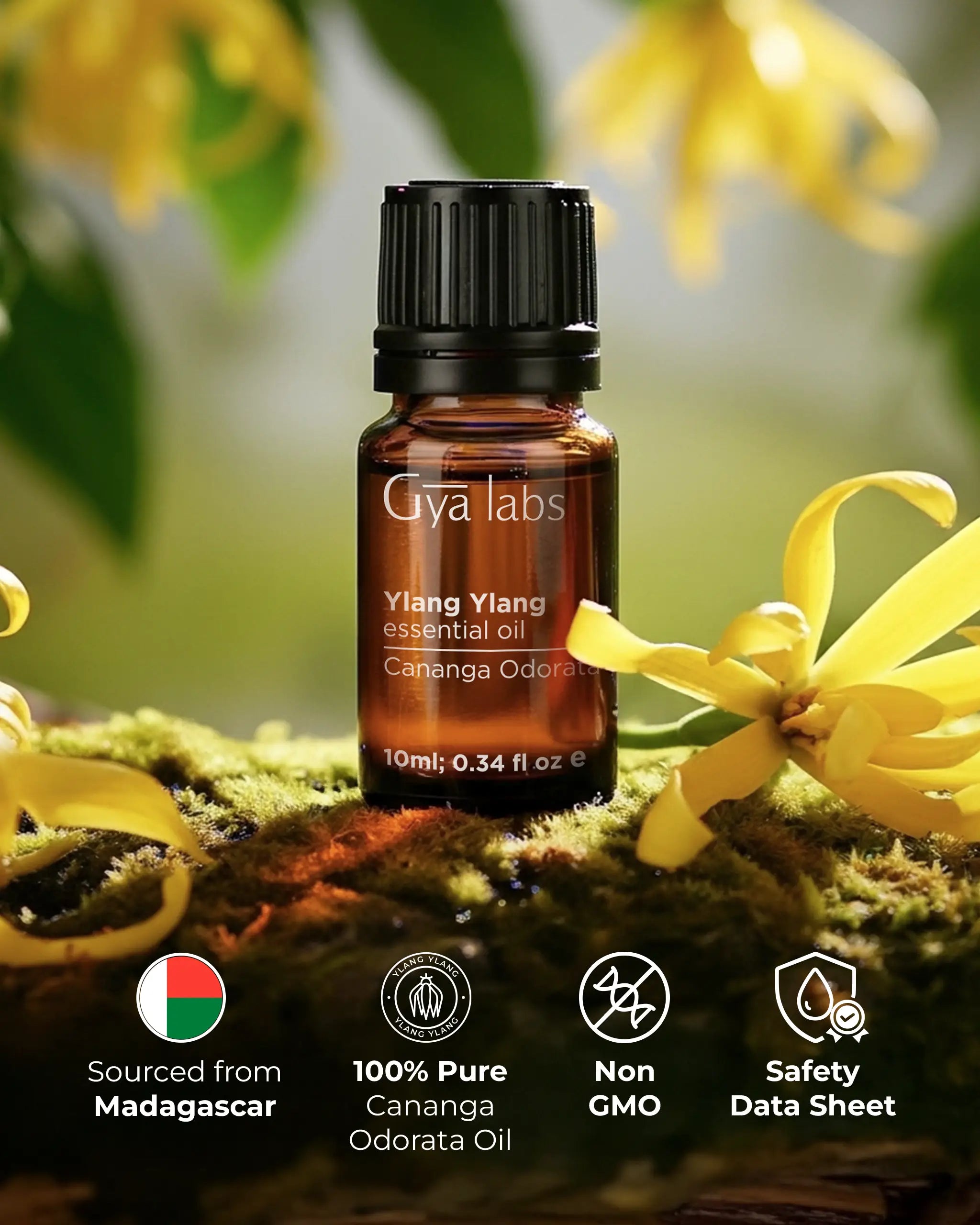 Ylang Ylang Oil