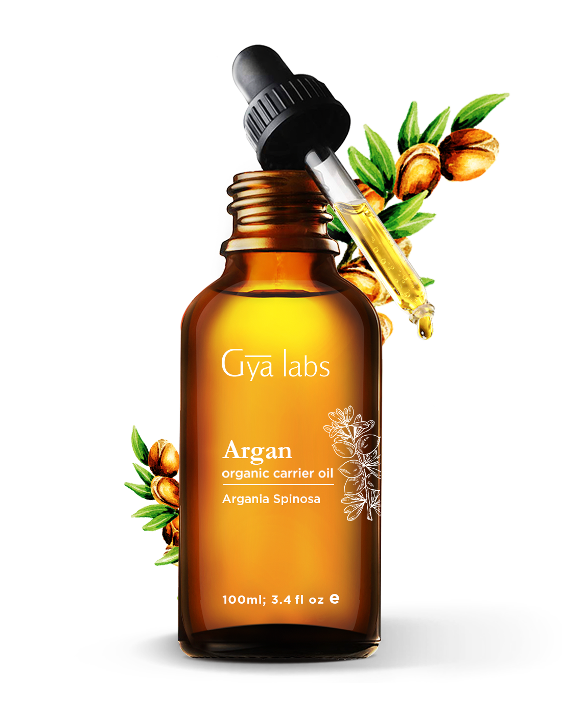 organic argan carrier plant with argan oil bottle