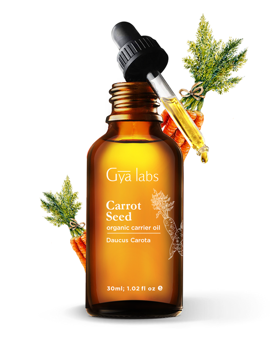 glass dropper filled with organic carrot seed carrier oil kept above bottle
