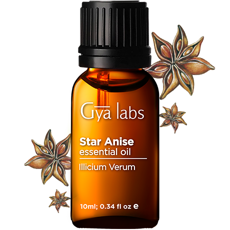 star anise plant with star anise oil bottle