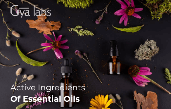 Active Ingredients of Essential Oils That Make Them The Powerhouse