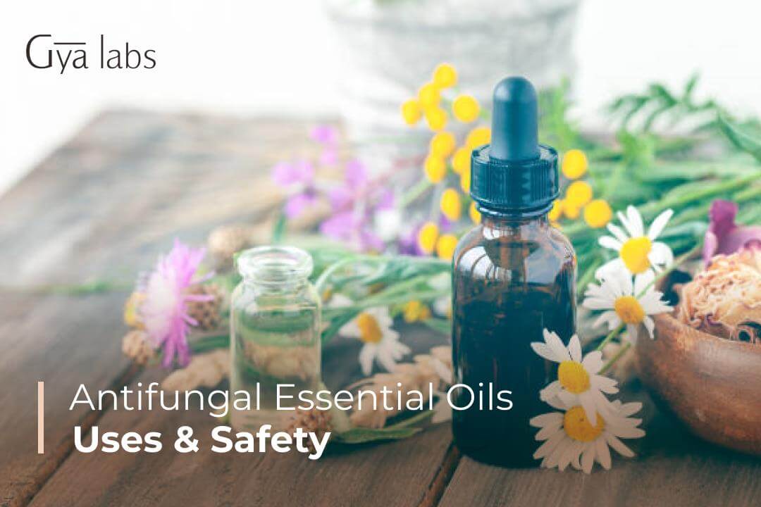 Antifungal essential oils