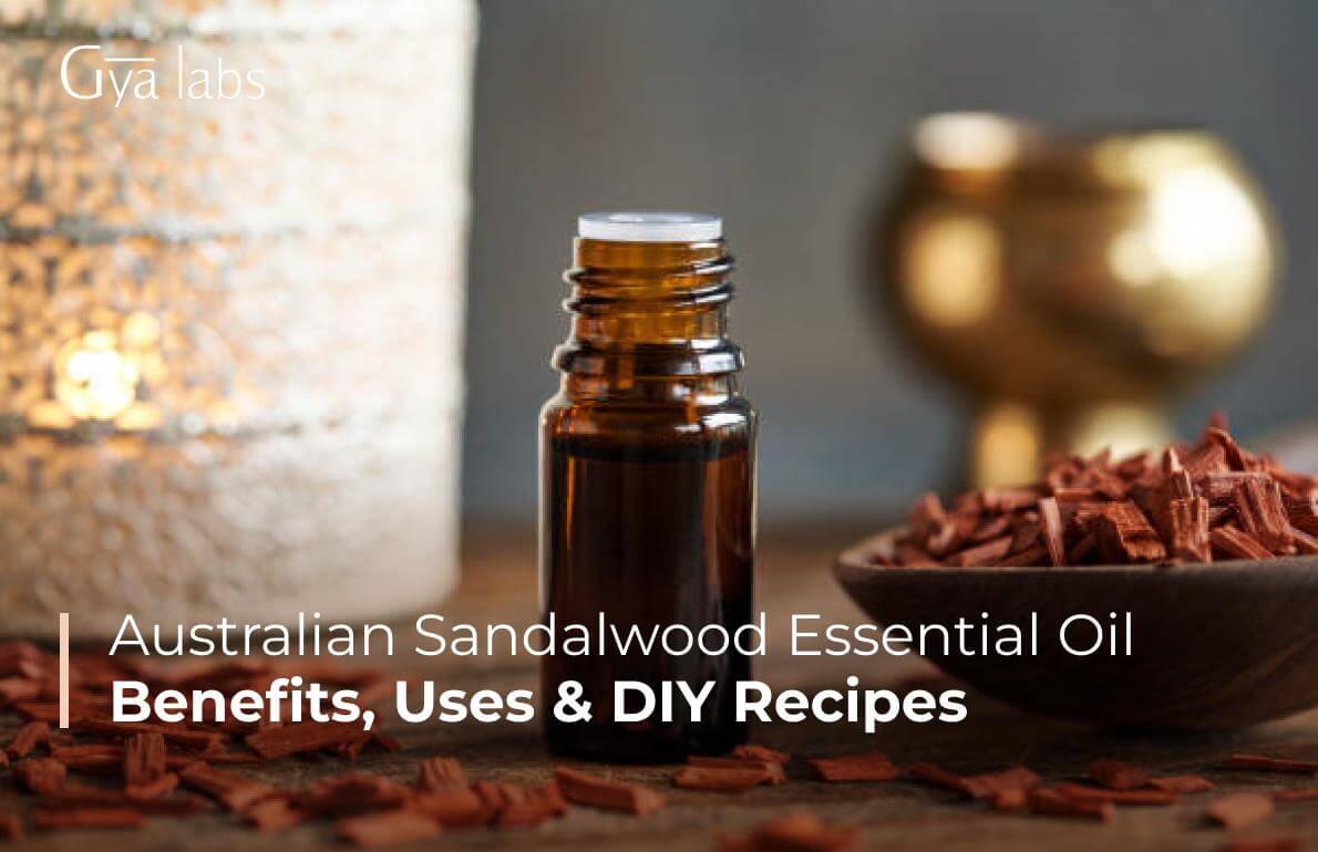 Benefits of Australian Sandalwood Essential Oil, Uses, and DIY Recipes