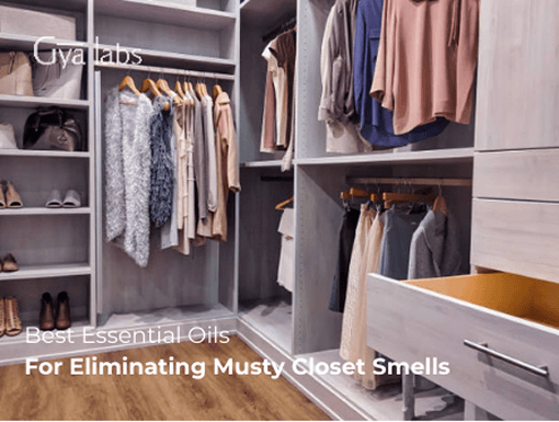 Best Essential Oils for Eliminating Musty Closet Smells