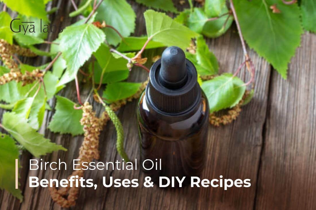 Birch Essential Oil: Benefits, Uses, and DIY Applications