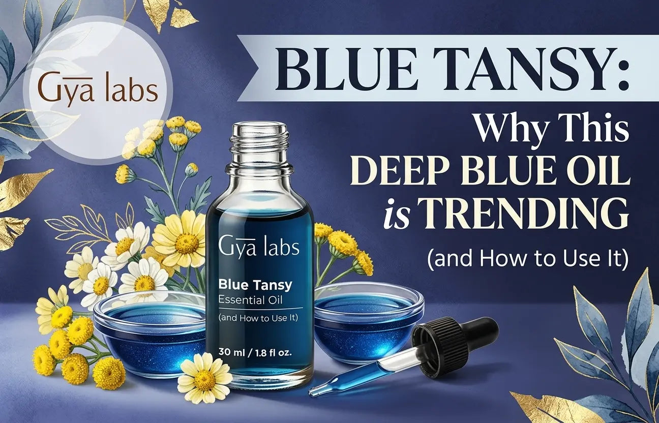 blue tansy oil