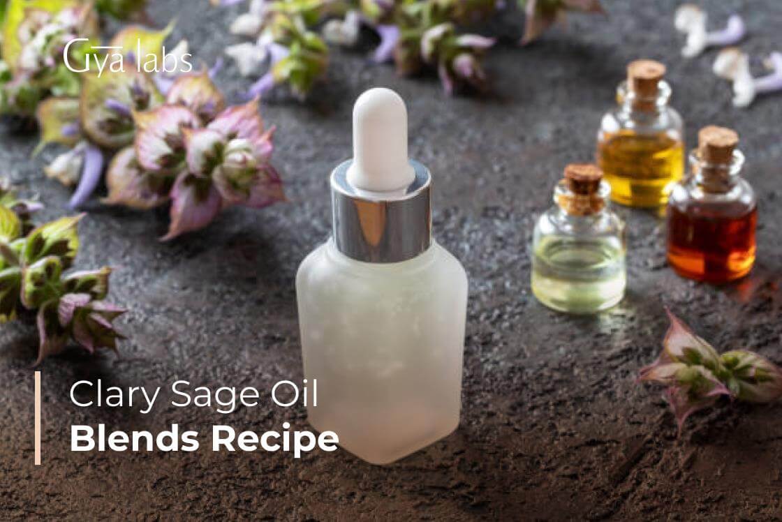 Clary Sage Oil Diffuser Blends Recipes | DIY Clary Sage Essential Oil Recipes
